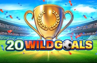 Cover des Slots 20 Wild Goals